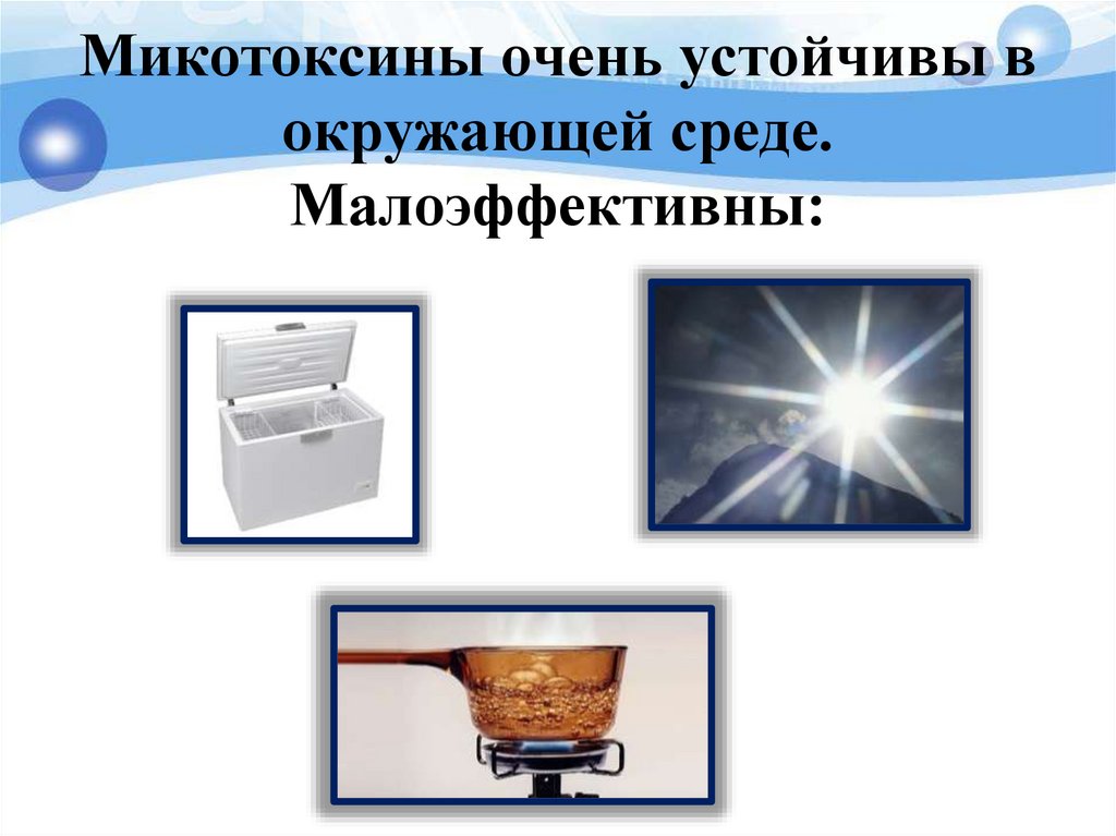 Микотоксины очень устойчивы в окружающей среде. Малоэффективны: