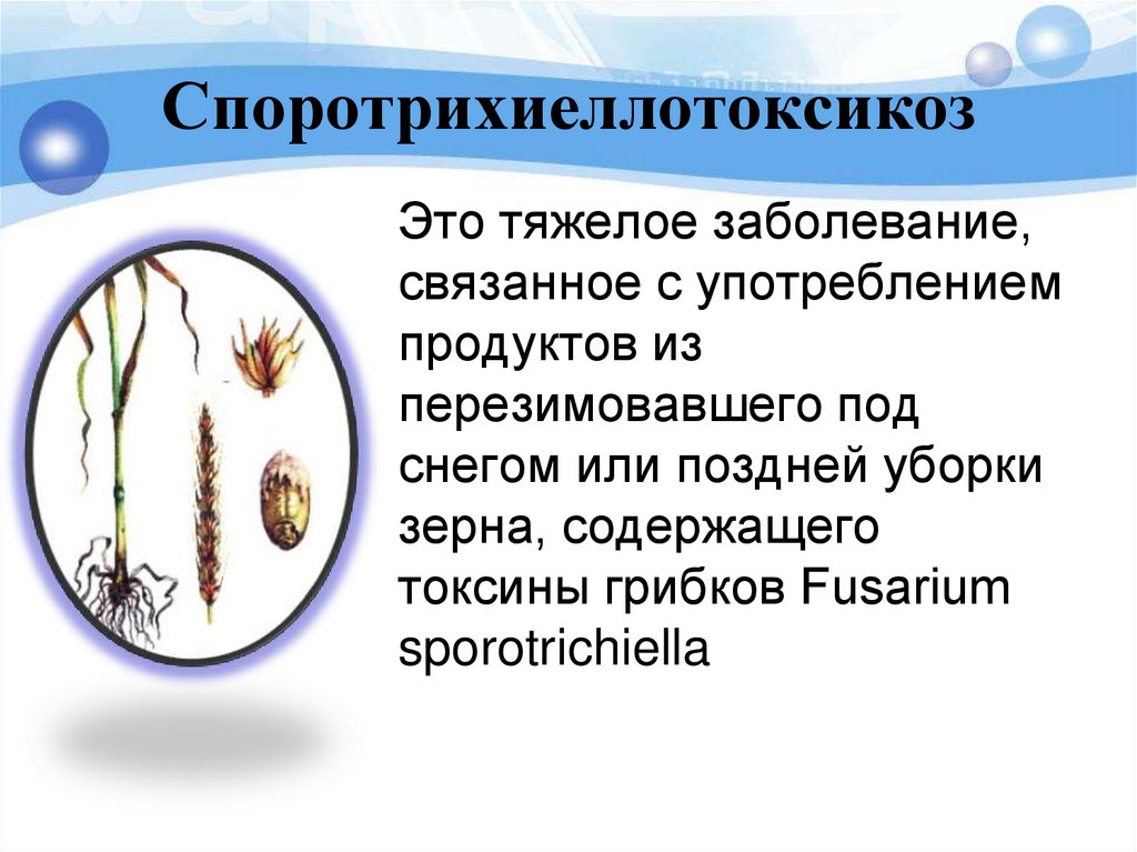 Споротрихиеллотоксикоз