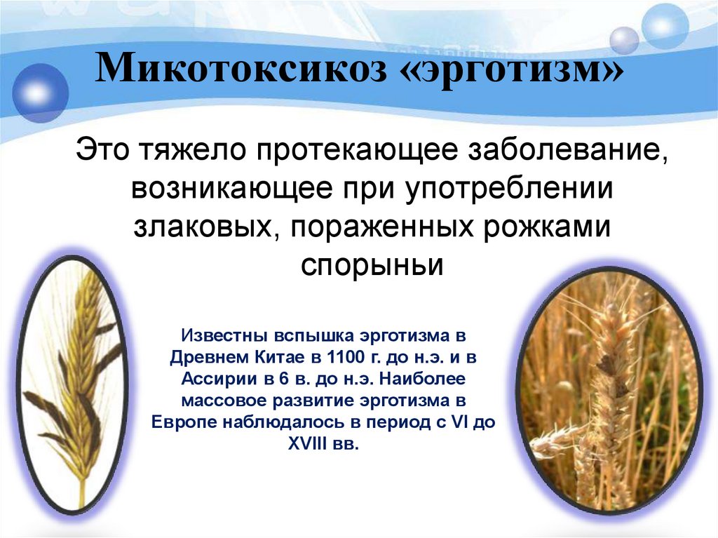 Микотоксикоз «эрготизм»