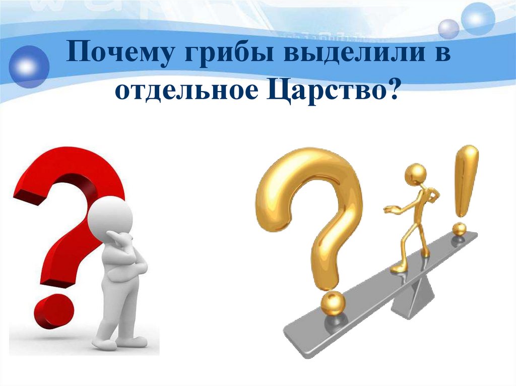 Почему грибы выделили в отдельное Царство?
