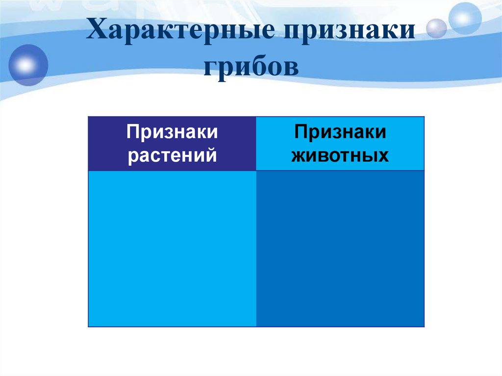 Характерные признаки грибов