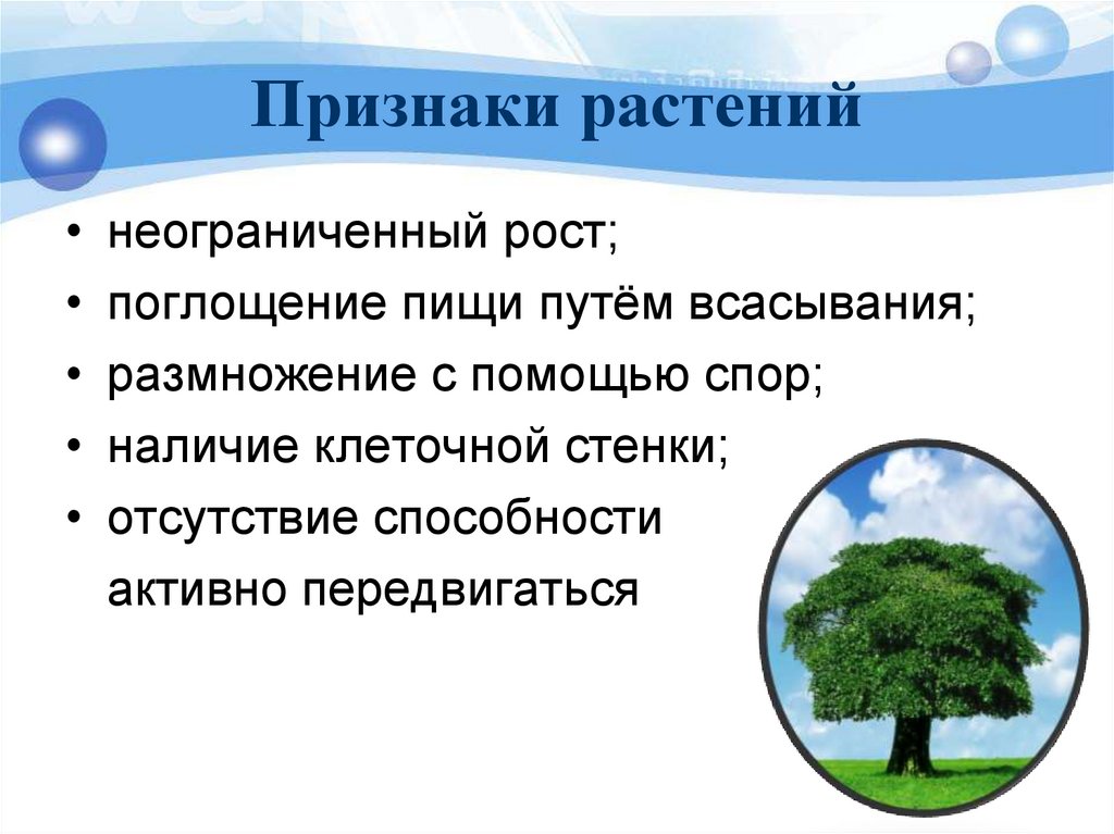 Признаки растений