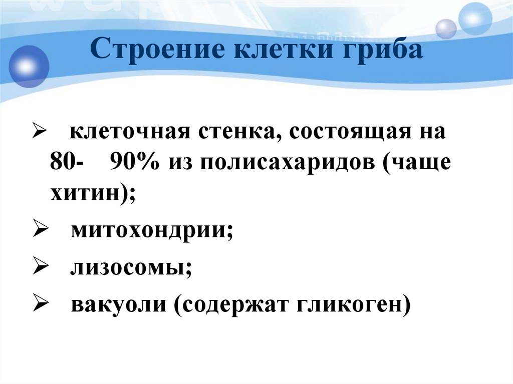 Строение клетки гриба