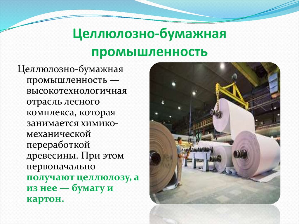 Целлюлозно-бумажная промышленность