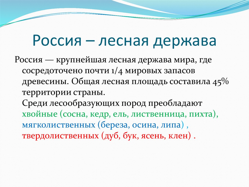 Россия – лесная держава