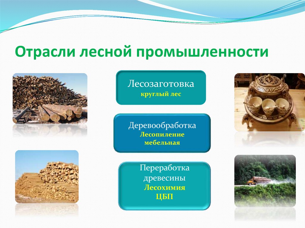Отрасли лесной промышленности