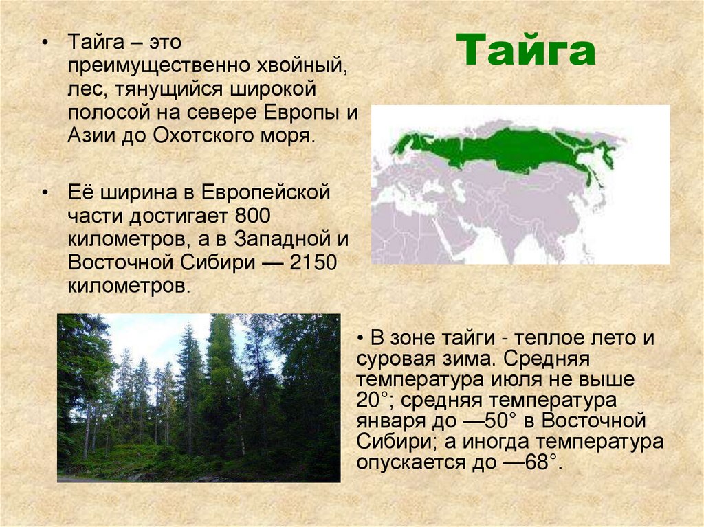 Тайга