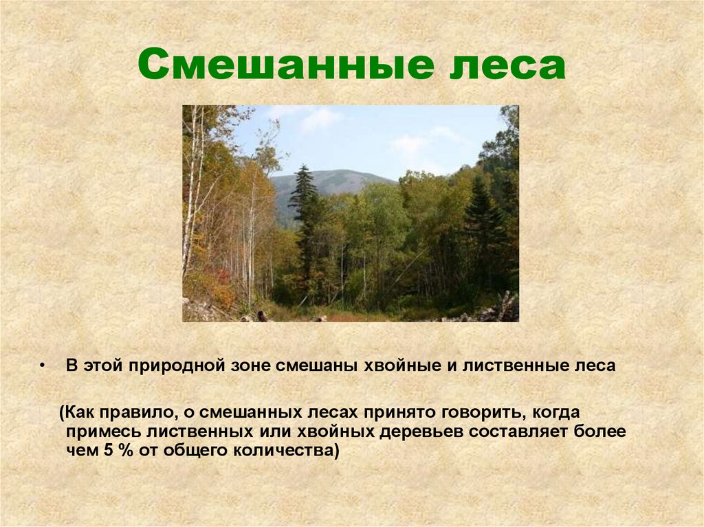 Смешанные леса