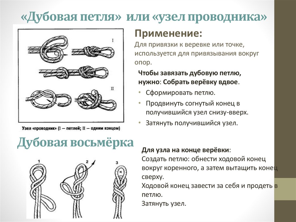 «Дубовая петля» или «узел проводника»