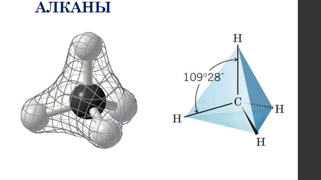 АЛКАНЫ