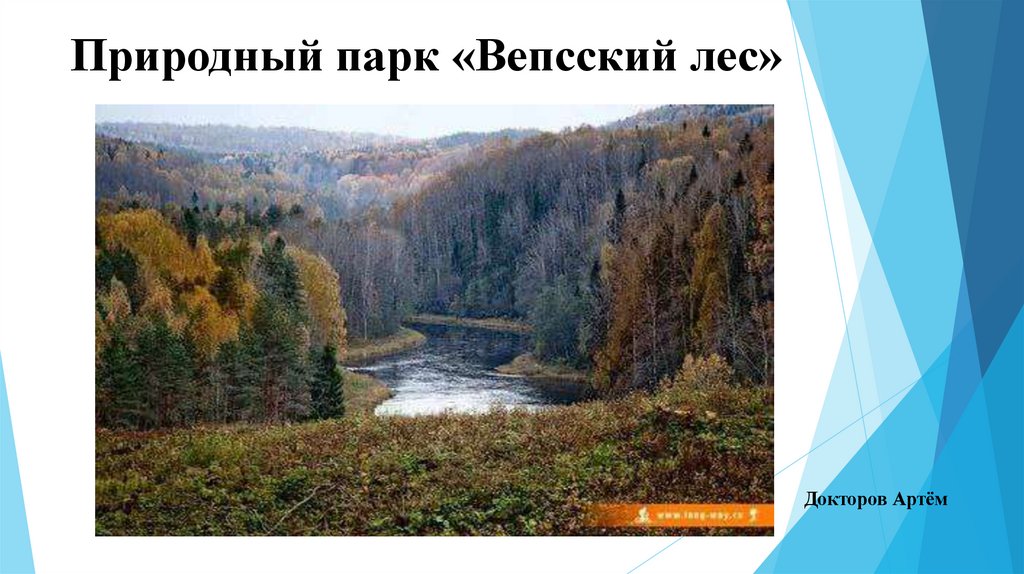 Природный парк «Вепсский лес»