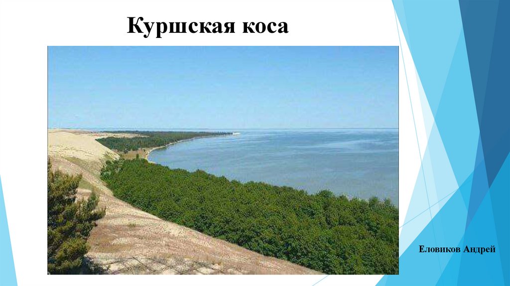 Куршская коса