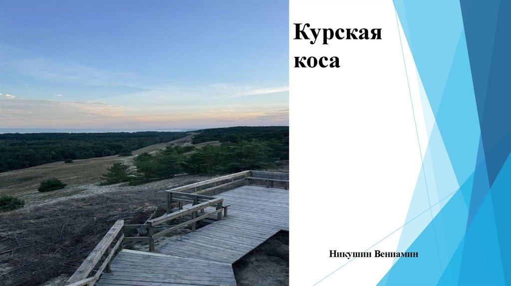 Курская коса