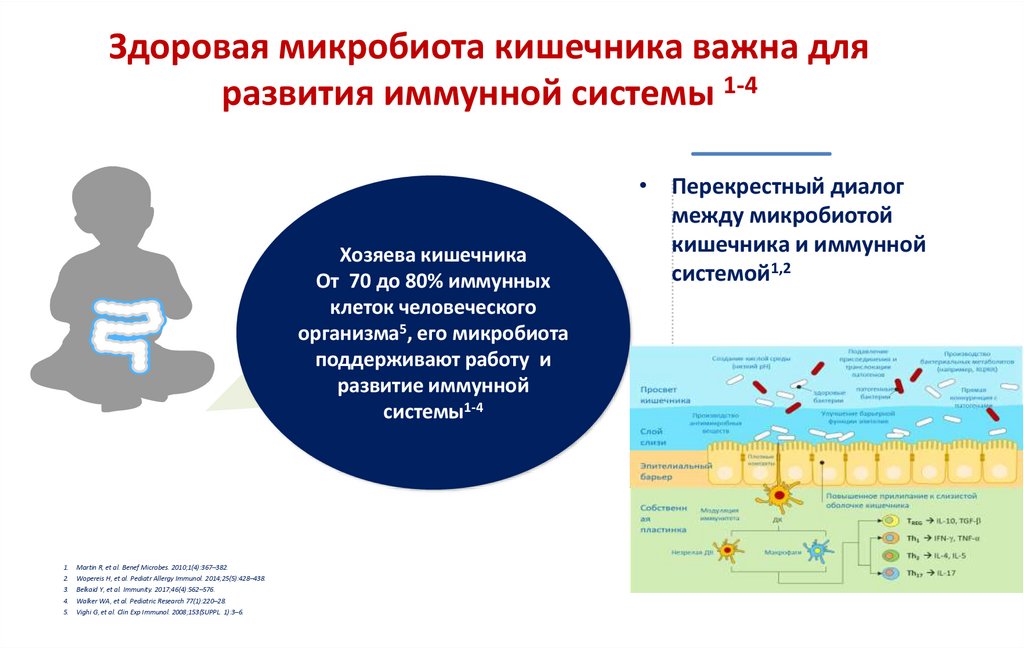 Здоровая микробиота кишечника важна для развития иммунной системы 1-4