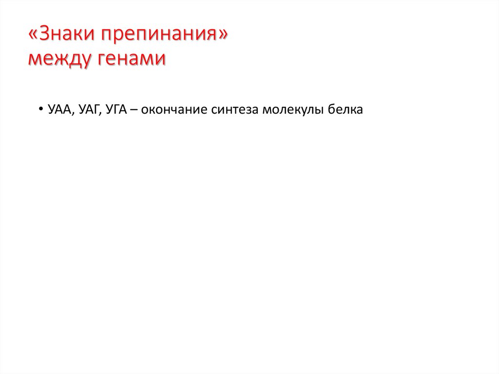 «Знаки препинания» между генами