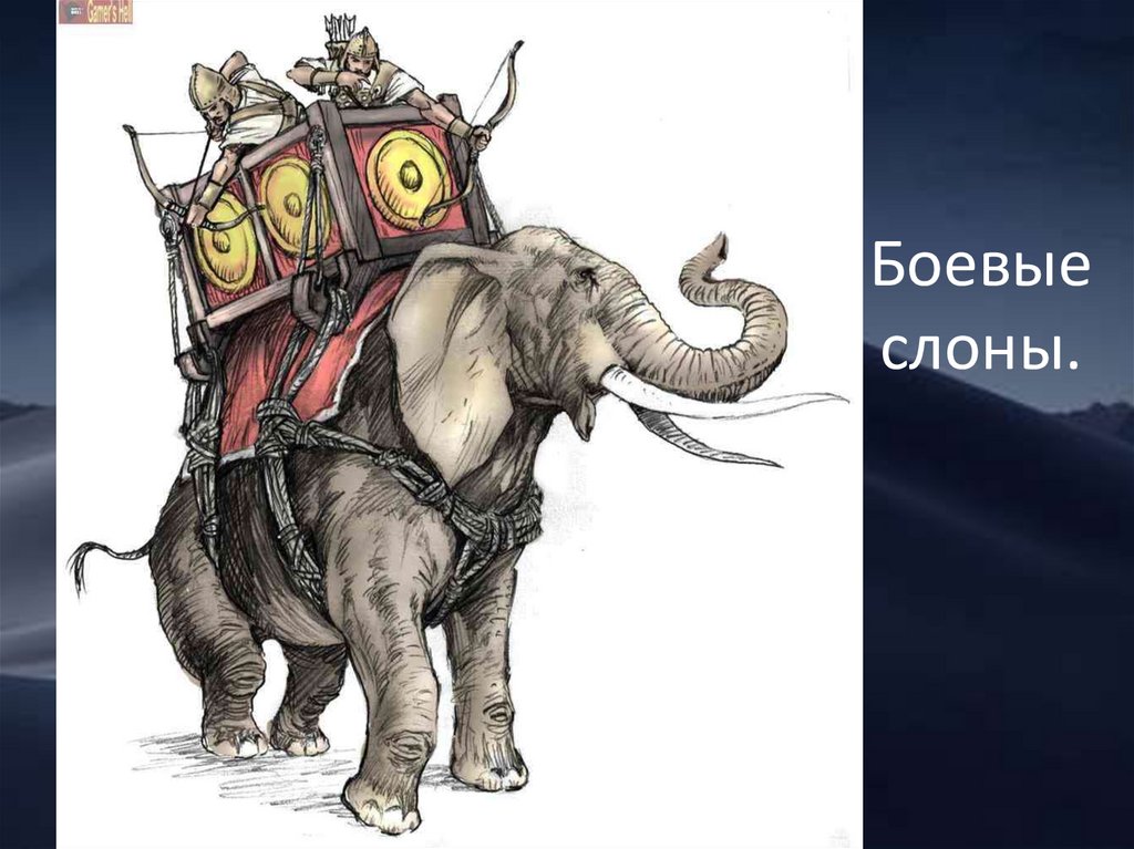Боевые слоны.