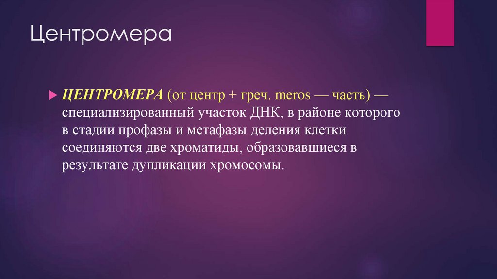 Центромера