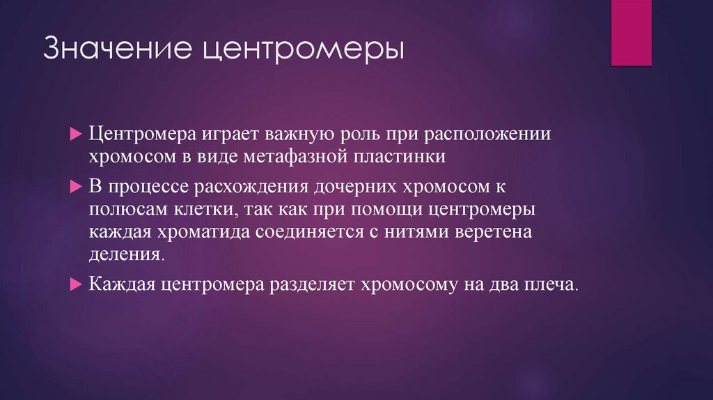 Значение центромеры