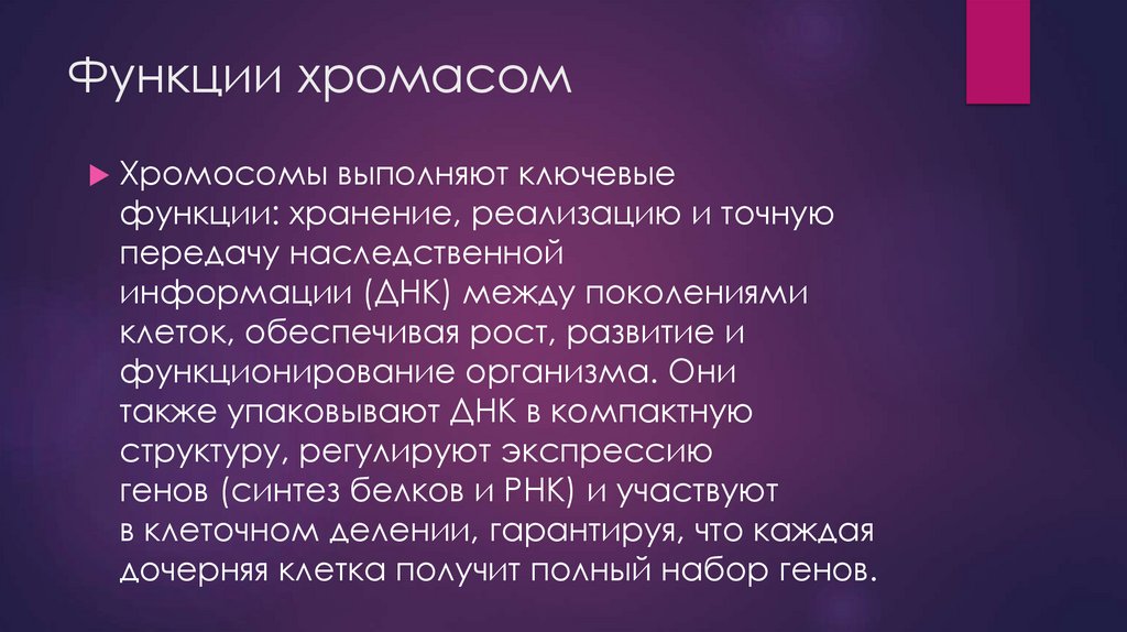 Функции хромасом