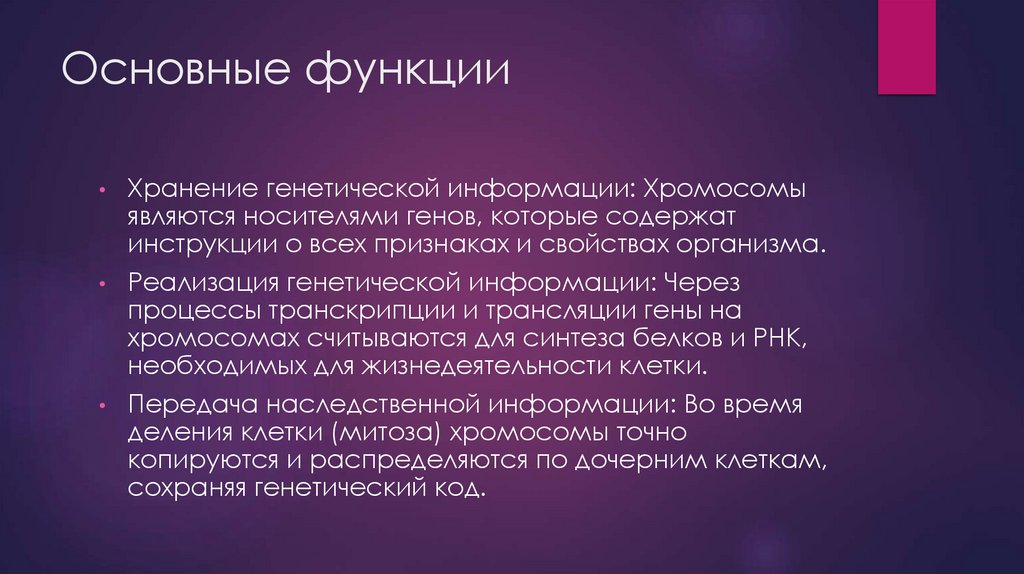 Основные функции