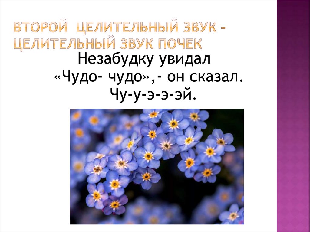 Второй целительный звук – целительный звук почек