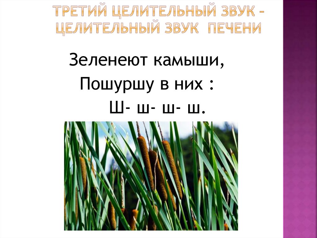 Третий целительный звук – целительный звук печени