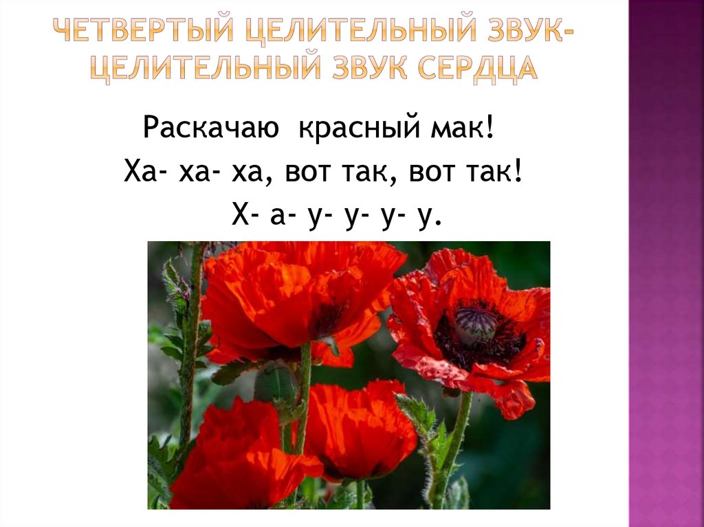 ЧЕТВЕРТЫЙ ЦЕЛИТЕЛЬНЫЙ ЗВУК- ЦЕЛИТЕЛЬНЫЙ ЗВУК СЕРДЦА