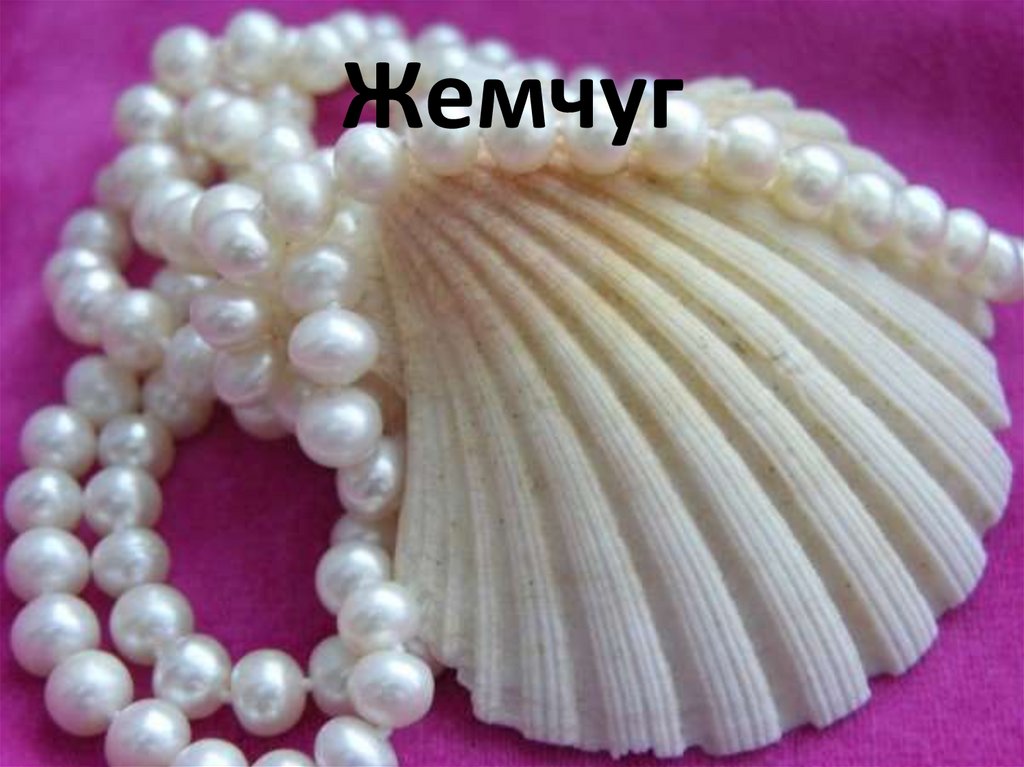 Жемчуг