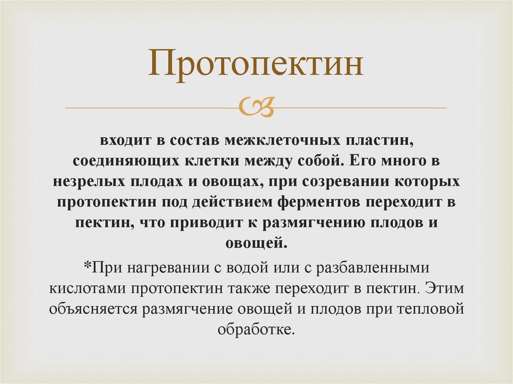 Протопектин