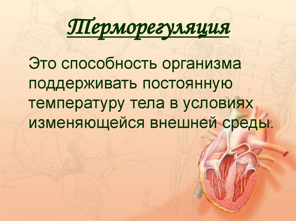 Терморегуляция
