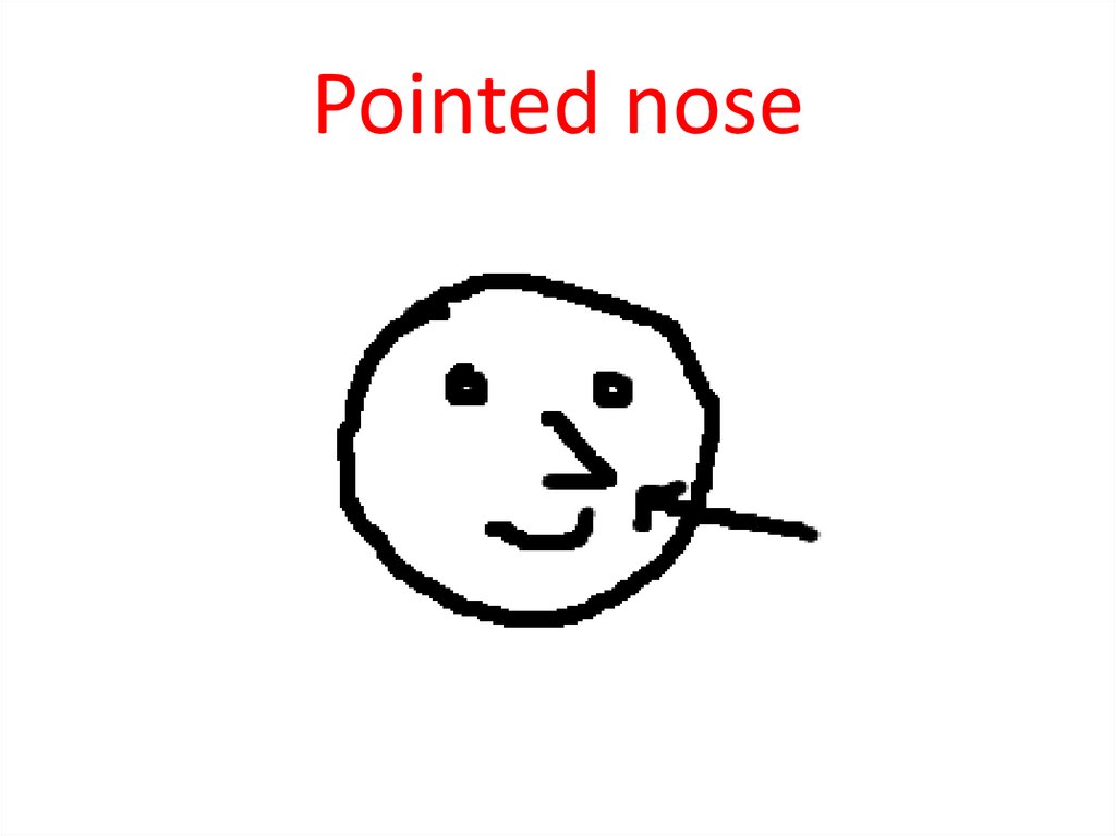 Pointed nose