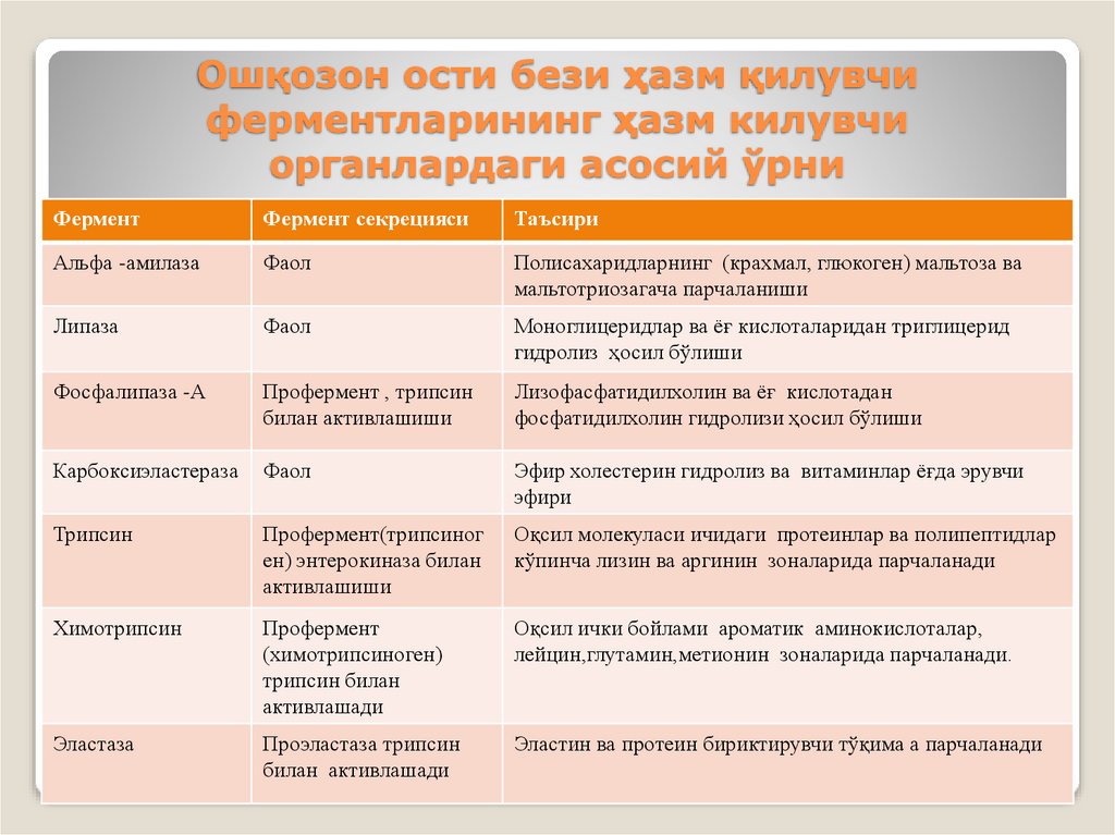 Ошқозон ости бези ҳазм қилувчи ферментларининг ҳазм килувчи органлардаги асосий ўрни