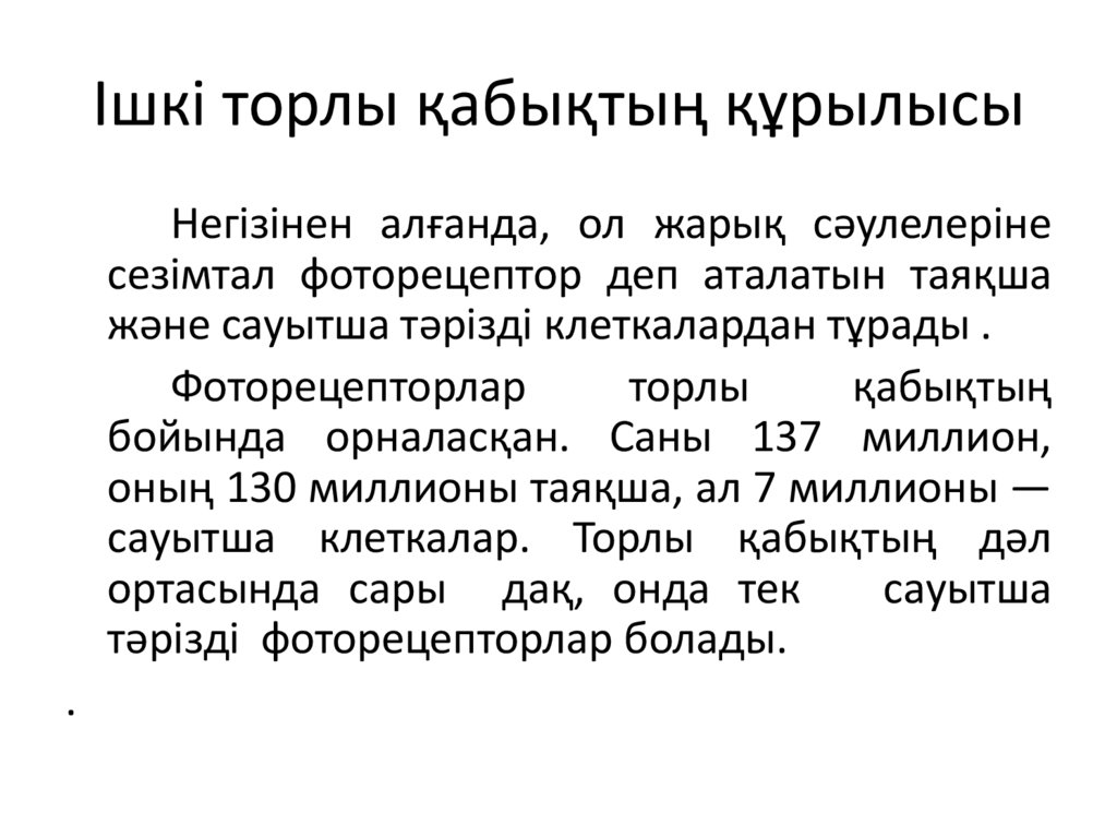 Ішкі торлы қабықтың құрылысы