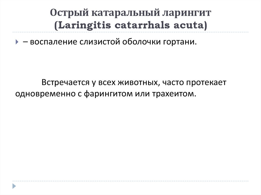 Острый катаральный ларингит (Laringitis catarrhals acuta)