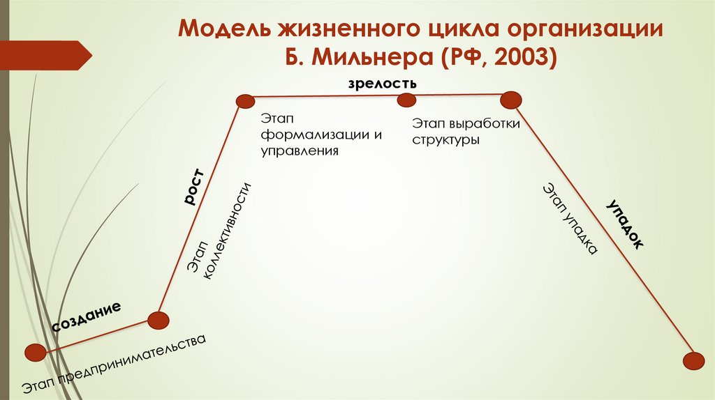 Модель жизненного цикла организации Б. Мильнера (РФ, 2003)