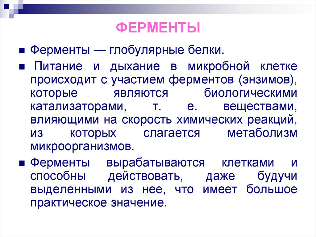 ФЕРМЕНТЫ