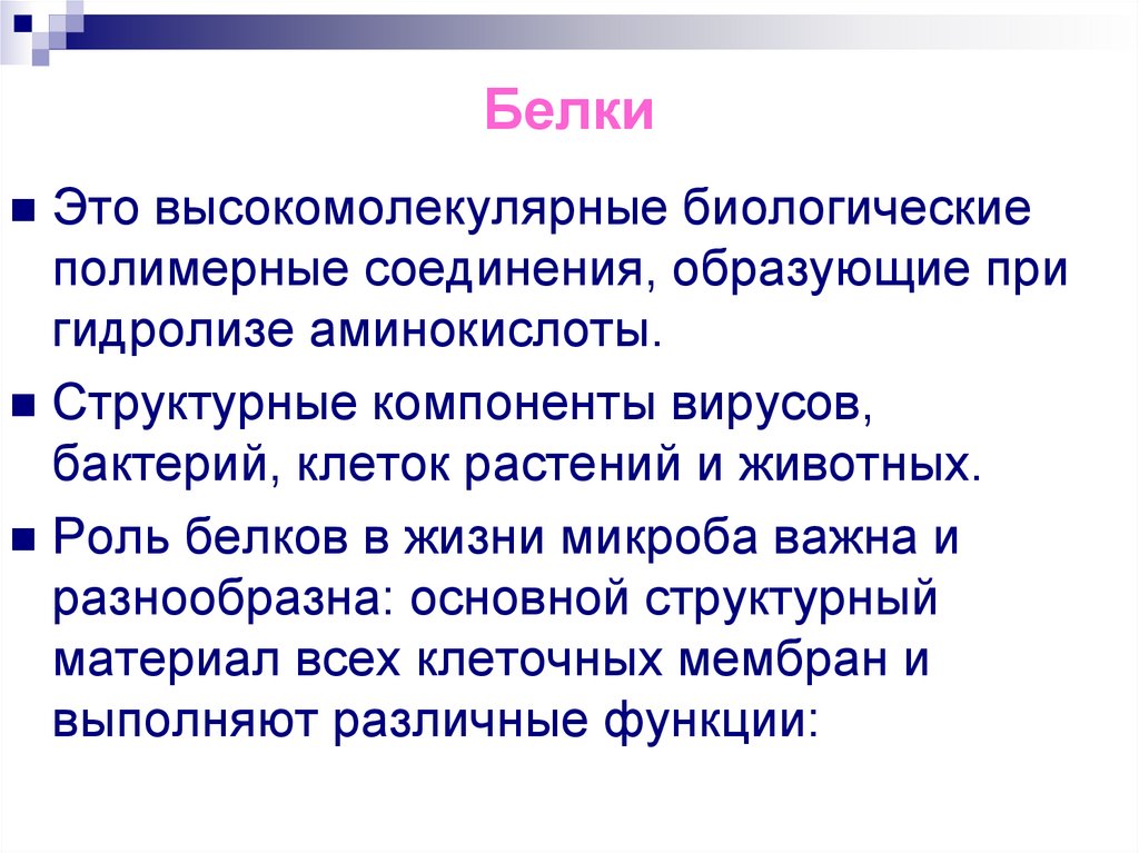 Белки