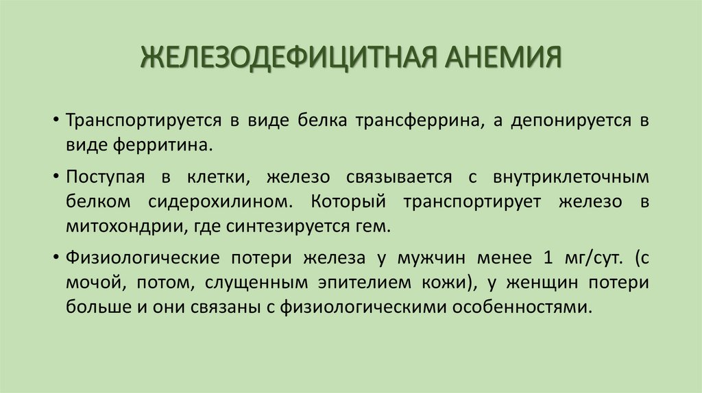 ЖЕЛЕЗОДЕФИЦИТНАЯ АНЕМИЯ