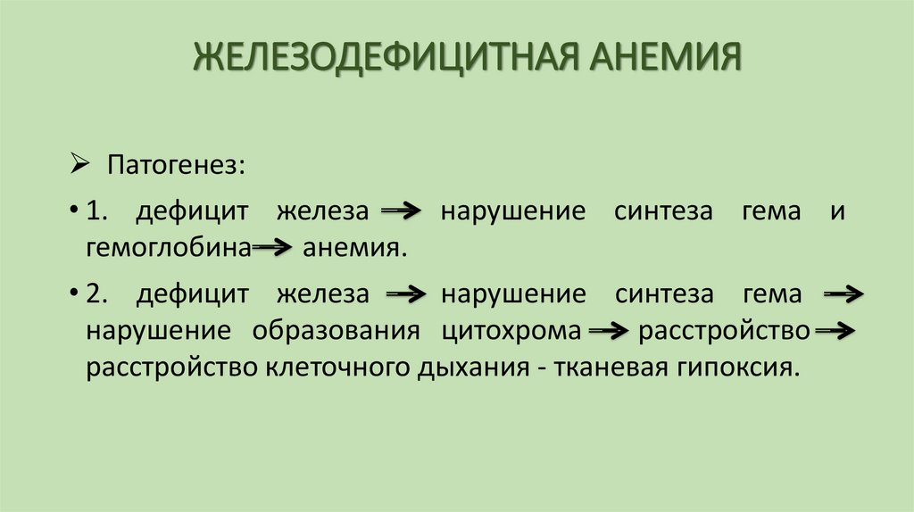 ЖЕЛЕЗОДЕФИЦИТНАЯ АНЕМИЯ