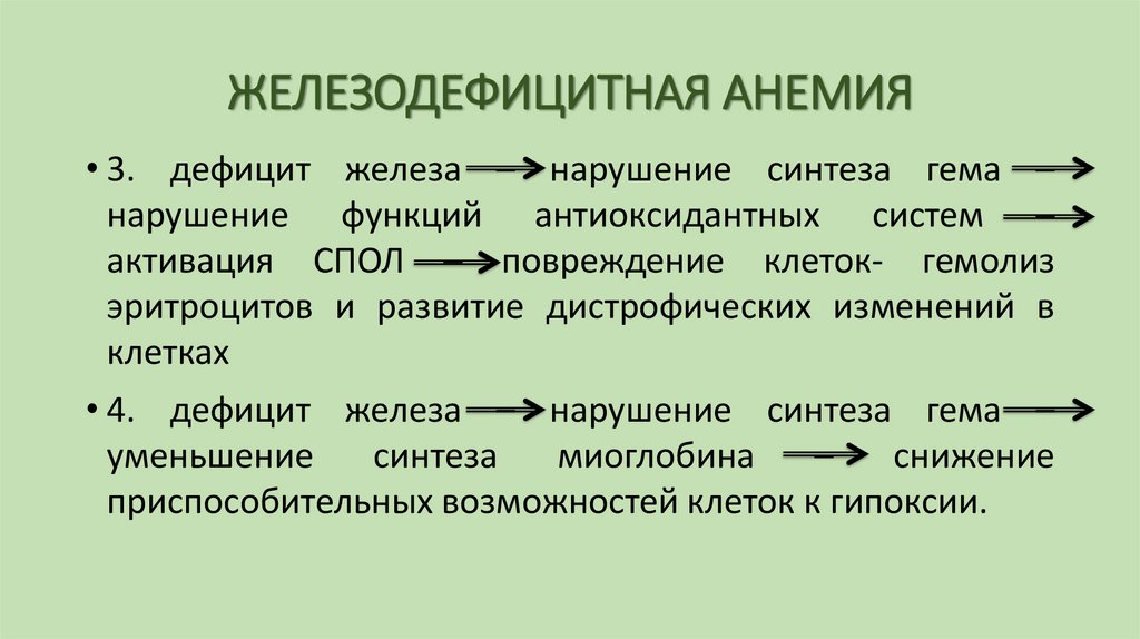 ЖЕЛЕЗОДЕФИЦИТНАЯ АНЕМИЯ