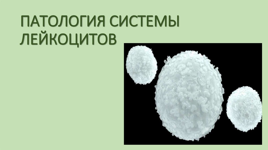 ПАТОЛОГИЯ СИСТЕМЫ ЛЕЙКОЦИТОВ