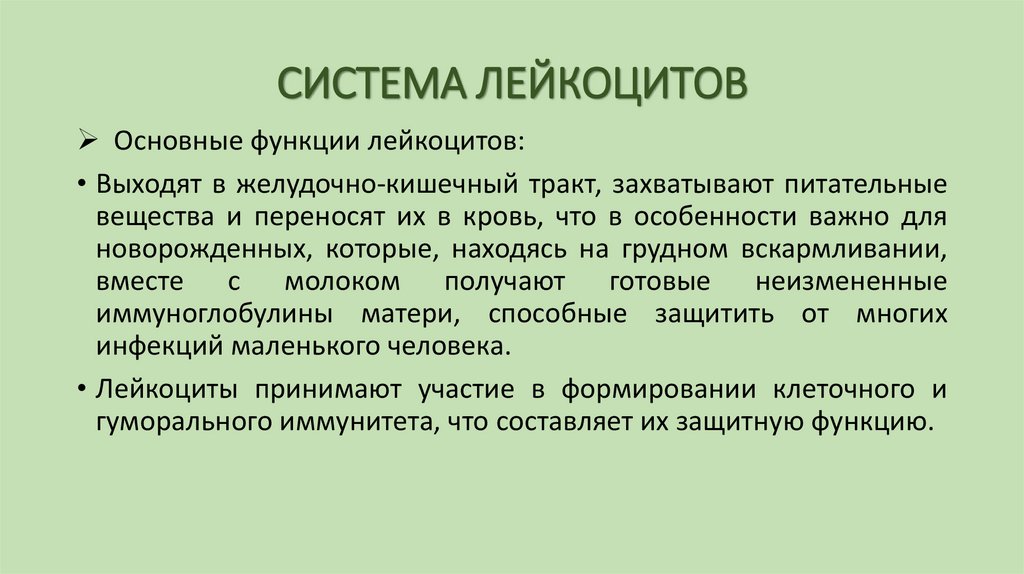 СИСТЕМА ЛЕЙКОЦИТОВ