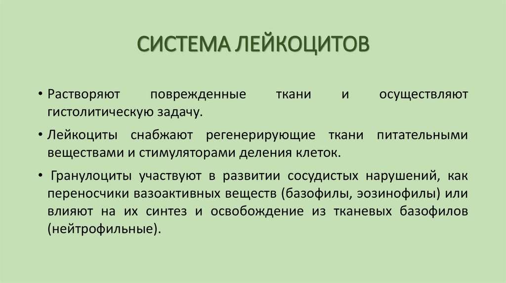 СИСТЕМА ЛЕЙКОЦИТОВ