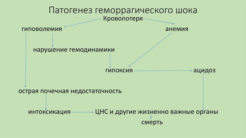 Патогенез геморрагического шока
