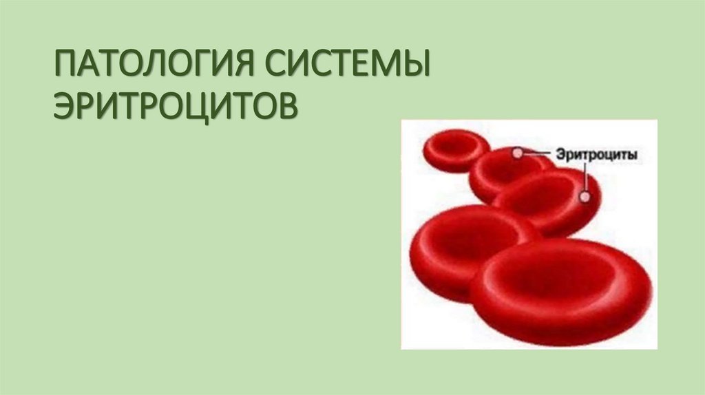 ПАТОЛОГИЯ СИСТЕМЫ ЭРИТРОЦИТОВ