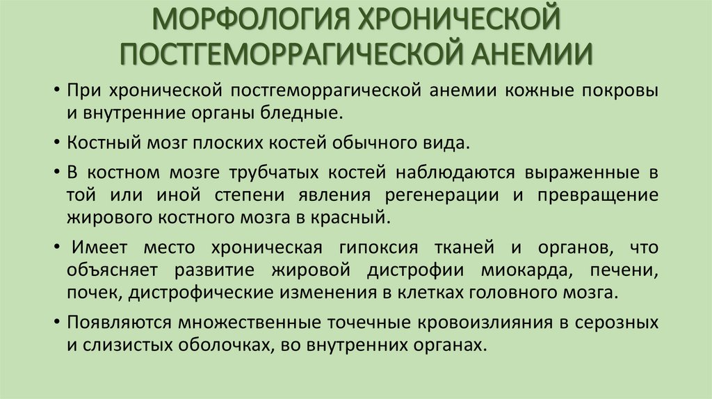 МОРФОЛОГИЯ ХРОНИЧЕСКОЙ ПОСТГЕМОРРАГИЧЕСКОЙ АНЕМИИ