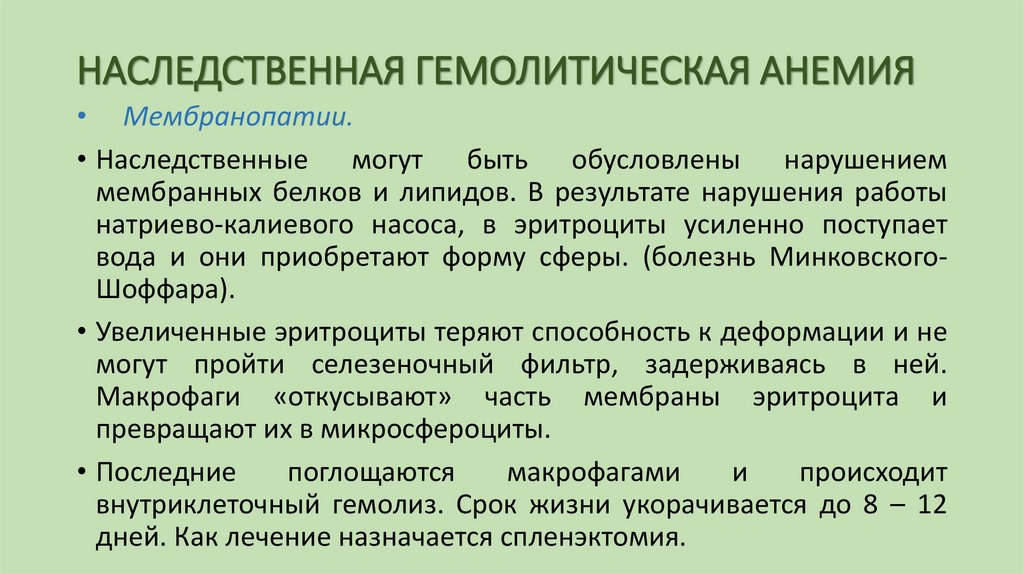 НАСЛЕДСТВЕННАЯ ГЕМОЛИТИЧЕСКАЯ АНЕМИЯ