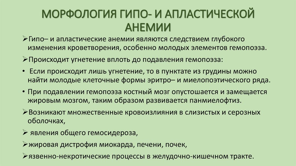 МОРФОЛОГИЯ ГИПО- И АПЛАСТИЧЕСКОЙ АНЕМИИ