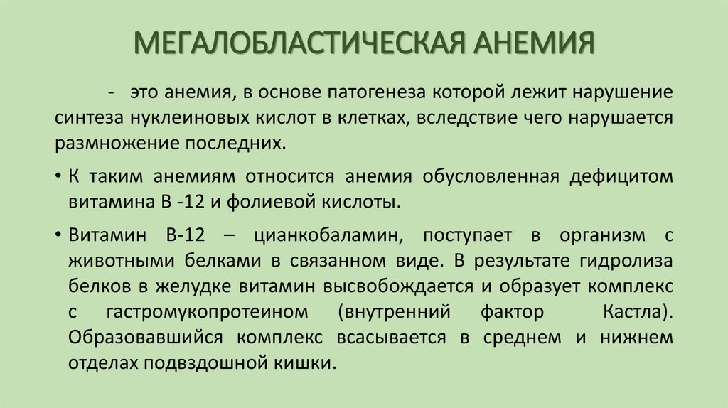 МЕГАЛОБЛАСТИЧЕСКАЯ АНЕМИЯ