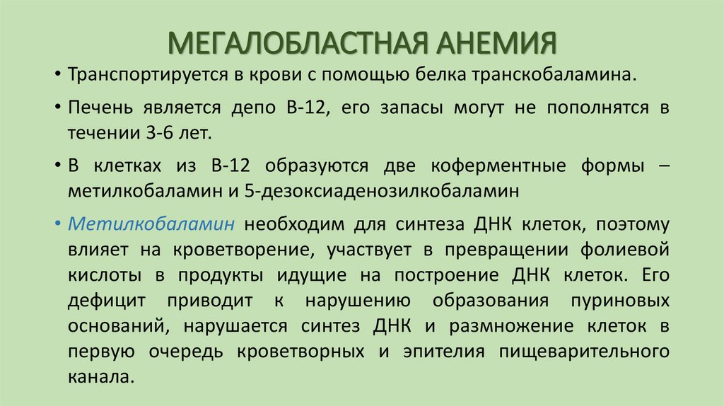 МЕГАЛОБЛАСТНАЯ АНЕМИЯ